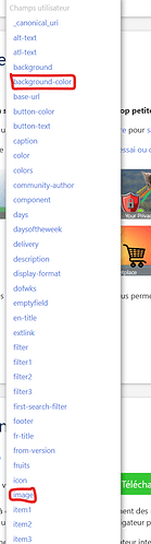 champs tiddlywiki complet
