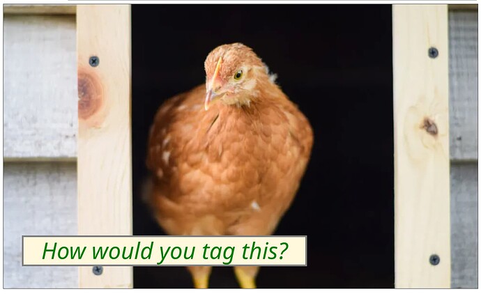 Screenshot 2025-10-20 18.00.01