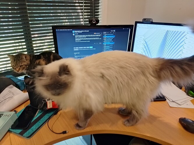 SparkyandDjango